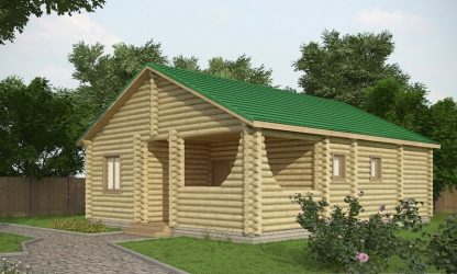 Проект Николас